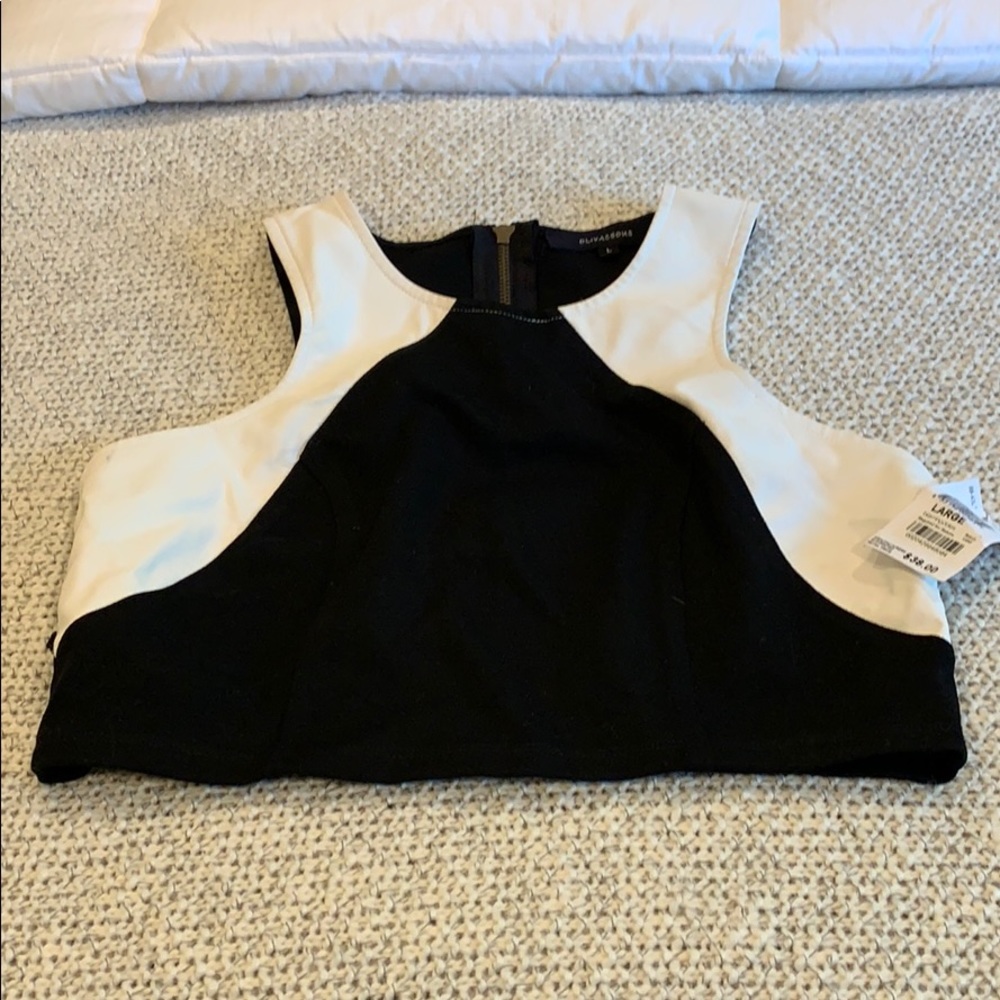 Olivaceous Crop Top